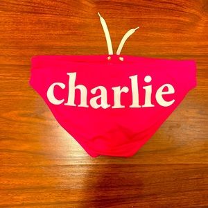 Charlie by Matthew Zink pink speedo with logo
